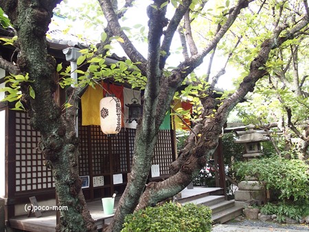 雨宝院 西陣聖天宮 PA160687