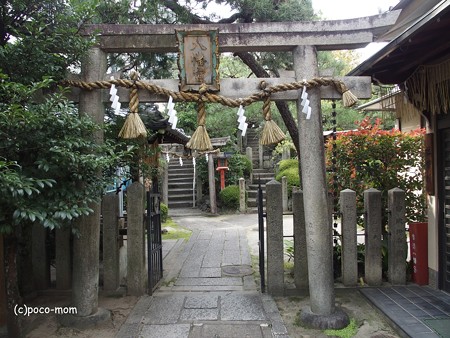 道途八幡宮 PA160696