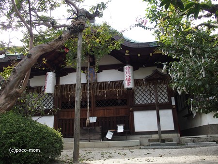 道途八幡宮 PA160698