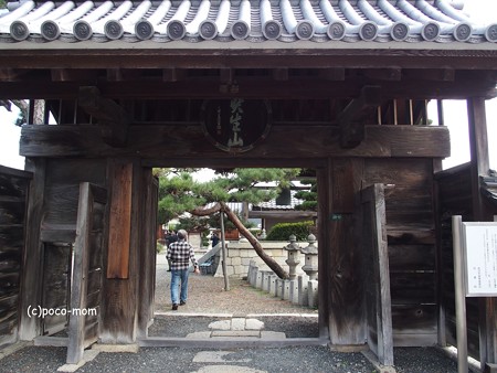 滋賀長浜 知善院 PA300019