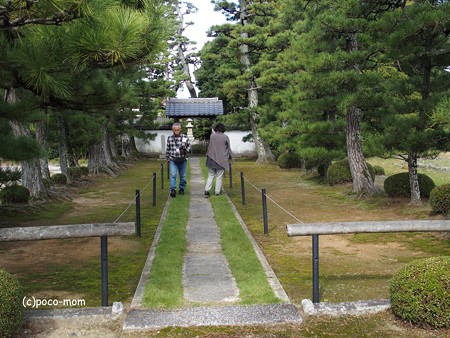 長浜 安楽寺 PA300066