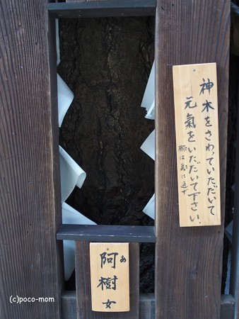平等寺因幡堂 PB030288
