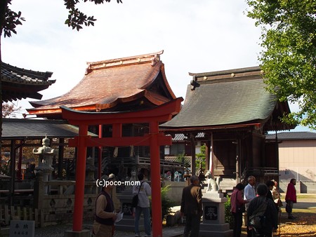 浄光寺 PA300118