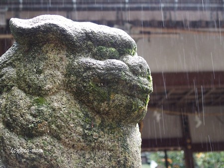 與志漏神社PB270620