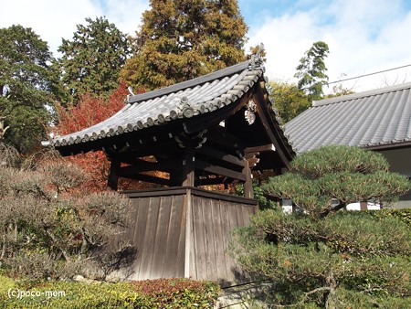 雲龍院 泉涌寺塔頭 PC110847