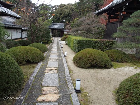 雲龍院 泉涌寺塔頭 PC110866