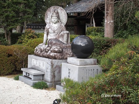 雲龍院 泉涌寺塔頭 PC110868