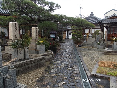 興善寺 P1221029