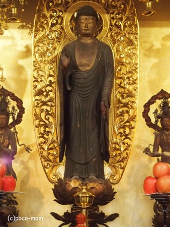 興善寺 快慶仏 P1221035