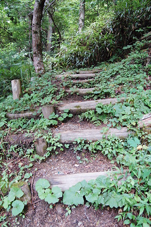 2010年08月14日_DSC_0093