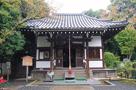 2010年10月31日_DSC_0129
