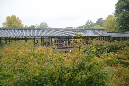 2010年10月31日_DSC_0221