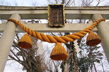2011年01月09日_DSC_0025