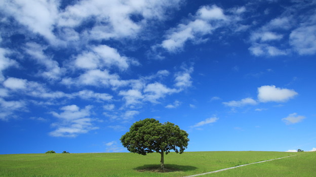 夏の青空