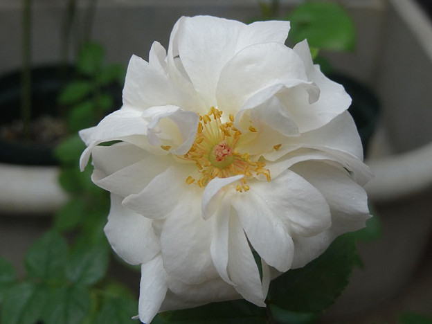 2nao26082801