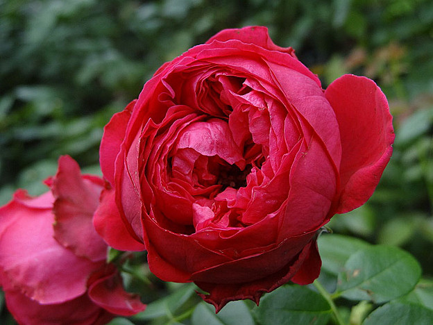 2ruju26083004