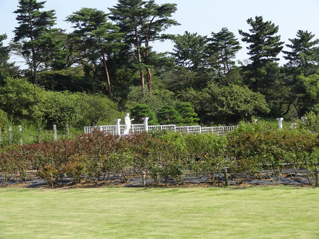 ikuta26092314