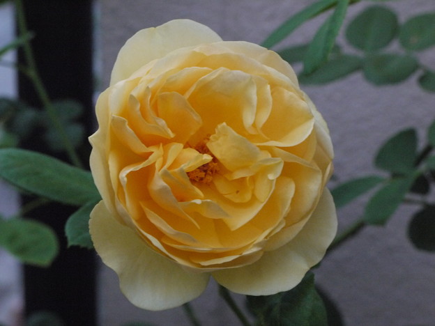 12gura26093001