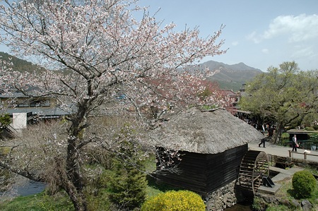 oshino09