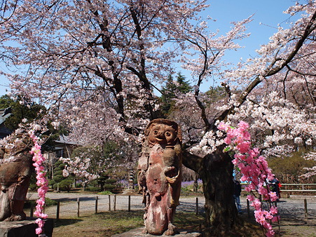 茂林寺1