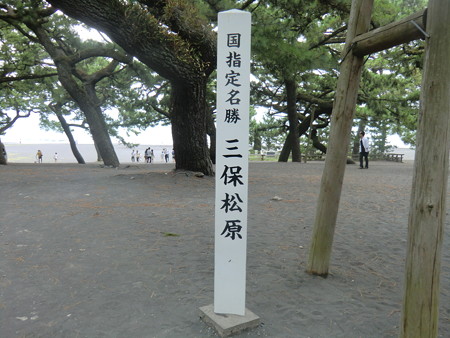 CIMG2770
