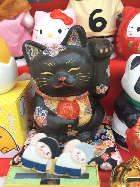 頭の傾け具合が可愛い。