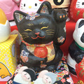 頭の傾け具合が可愛い。