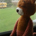 IMG_20160713_110946