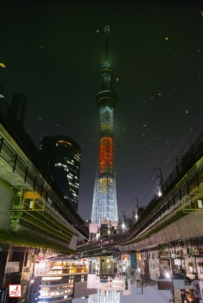 Photos: Metropolis