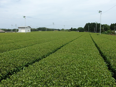 P7130497