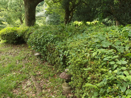 P7130518