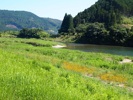 P7263544