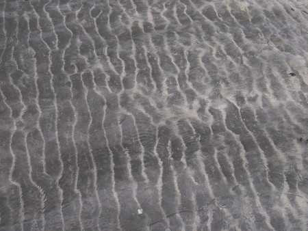 P7273591