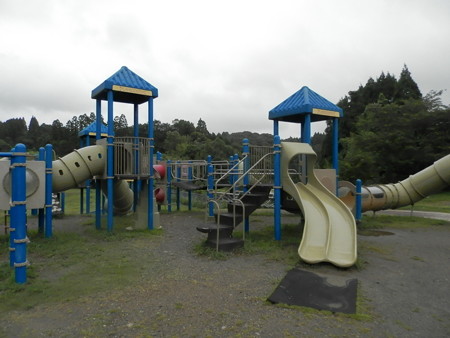 P8014113
