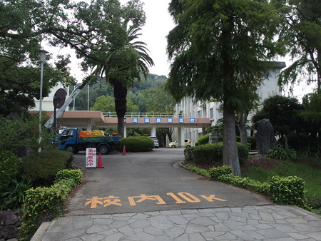 P8231353