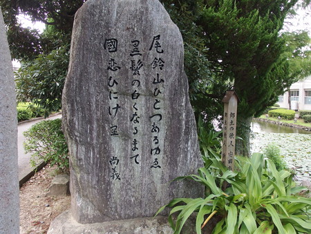 P8231354