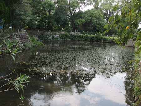 P8231350