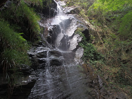 P8241409