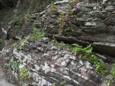 P8241422