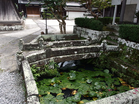 P9071591