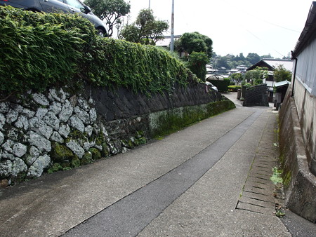 P9071646