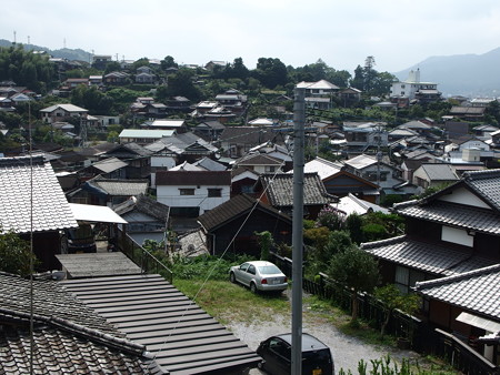 P9071649