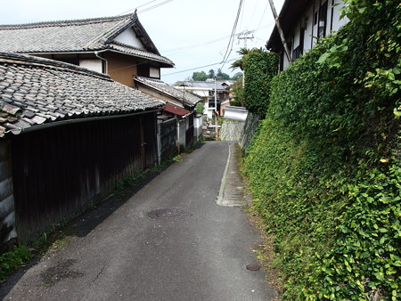 P9071664