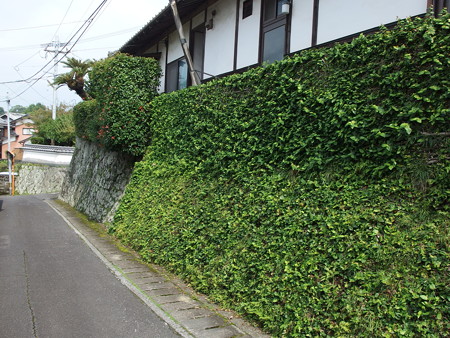 P9071665