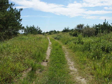 P9091757