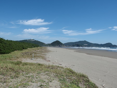 P9091758