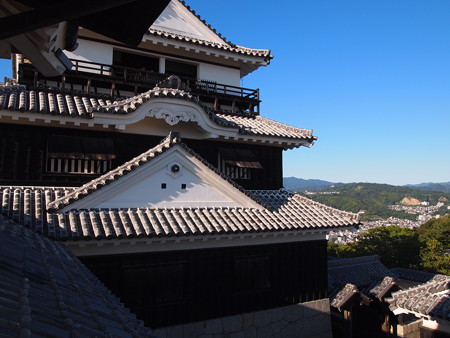 P9133629