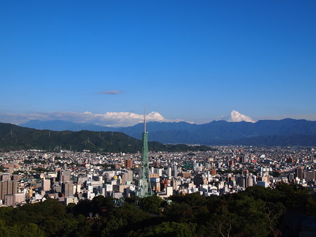 P9133638