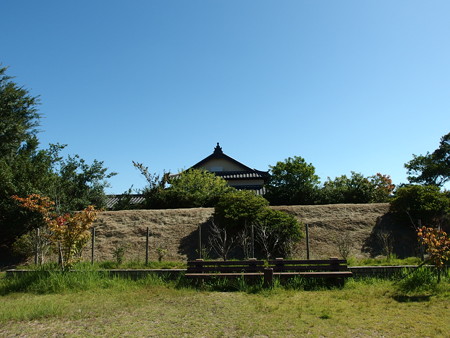 P9142078