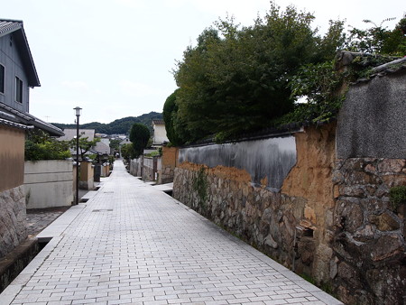 P1013873